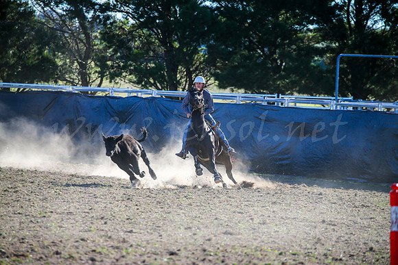 GoulburnCampdraft2017-0907