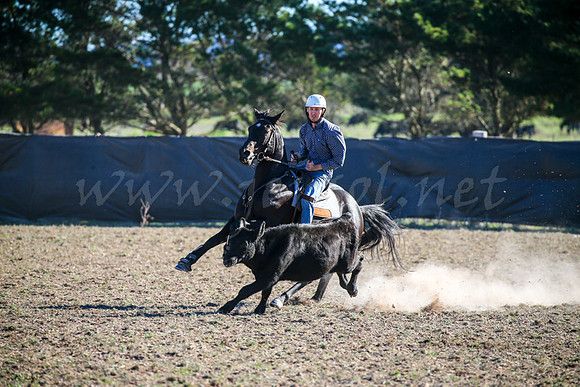 GoulburnCampdraft2017-0912