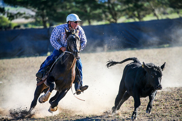 GoulburnCampdraft2017-0984