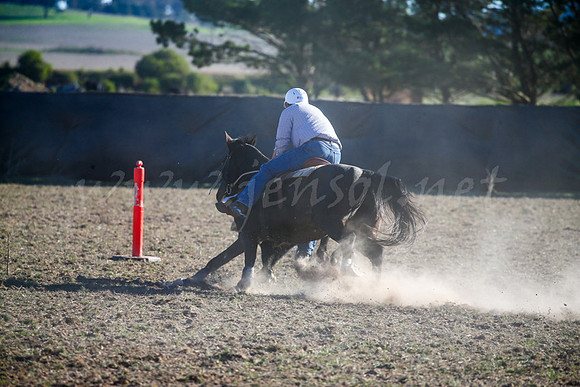 GoulburnCampdraft2017-1017