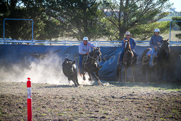 GoulburnCampdraft2017-0969