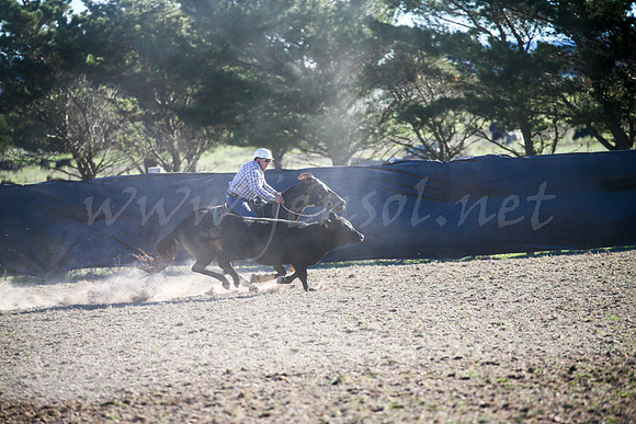 GoulburnCampdraft2017-1004