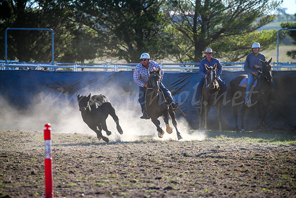 GoulburnCampdraft2017-0972
