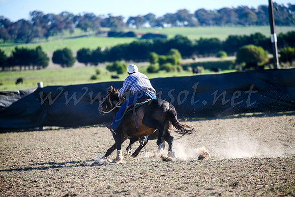 GoulburnCampdraft2017-0995