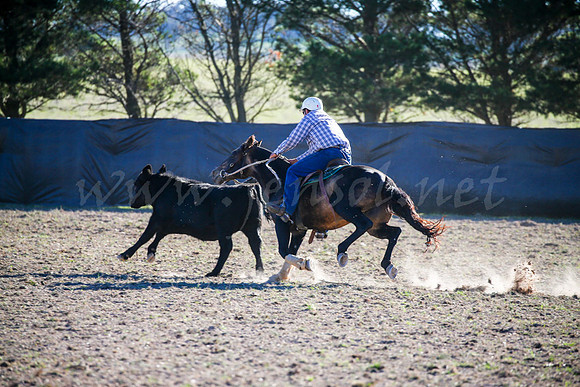 GoulburnCampdraft2017-0959