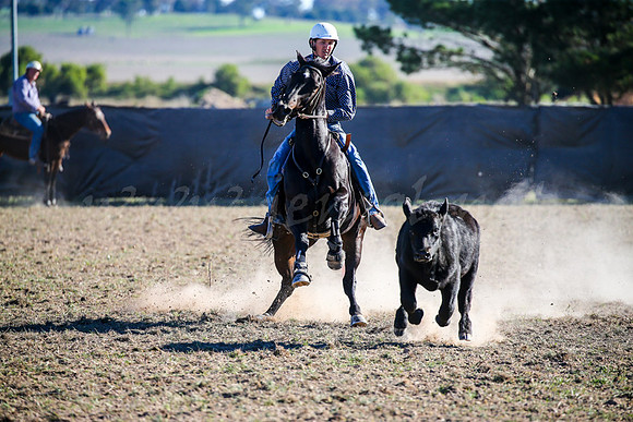 GoulburnCampdraft2017-0923