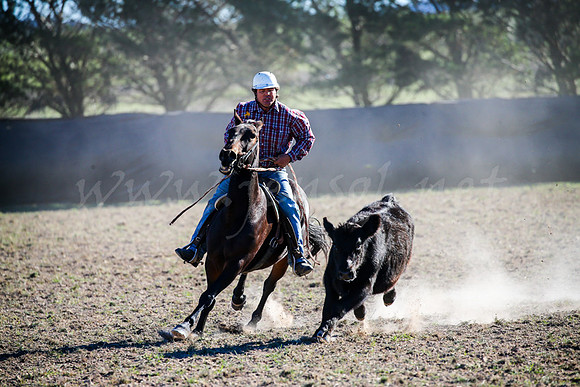 GoulburnCampdraft2017-0898