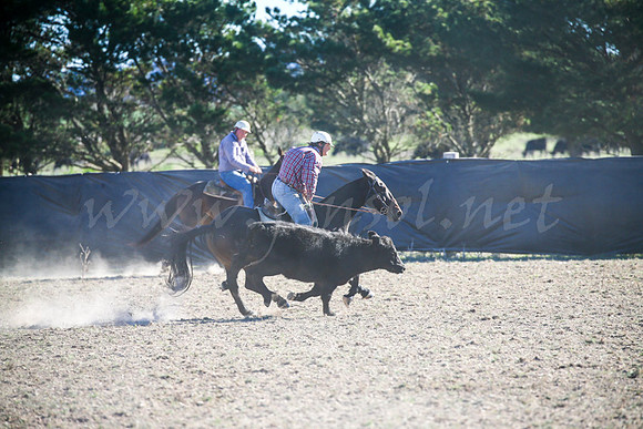 GoulburnCampdraft2017-0905