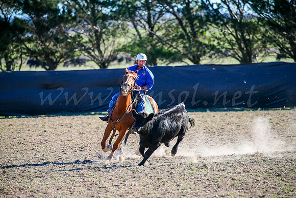 GoulburnCampdraft2017-0884