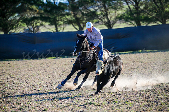 GoulburnCampdraft2017-1015