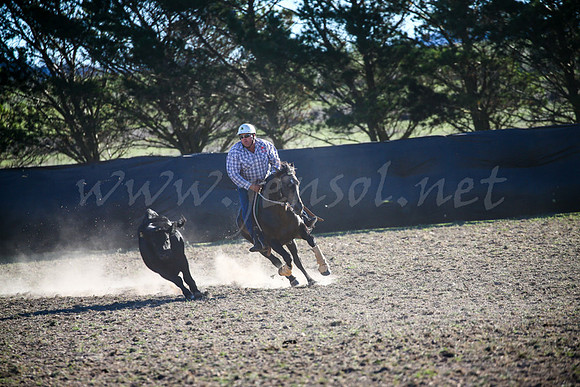 GoulburnCampdraft2017-1008