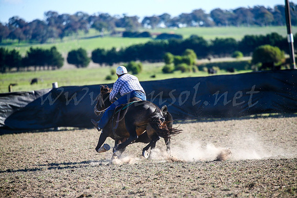 GoulburnCampdraft2017-0993