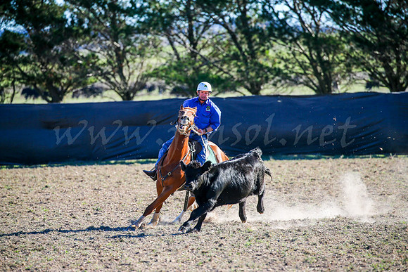 GoulburnCampdraft2017-0886
