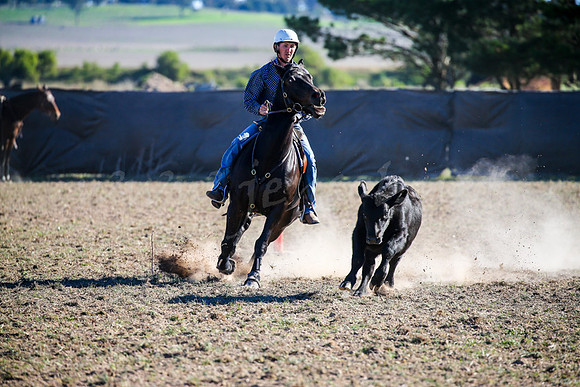 GoulburnCampdraft2017-0928