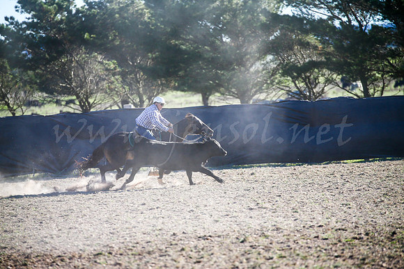 GoulburnCampdraft2017-1005