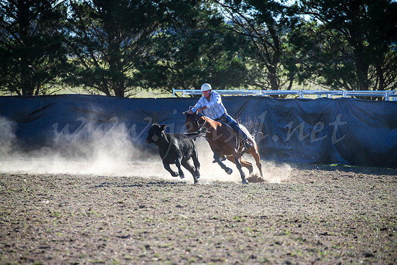 GoulburnCampdraft2017-0943
