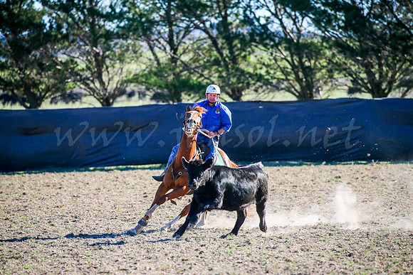 GoulburnCampdraft2017-0889