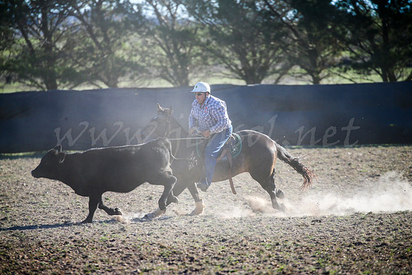 GoulburnCampdraft2017-0991