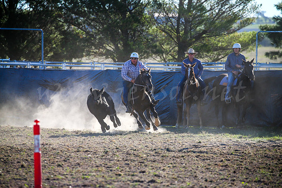 GoulburnCampdraft2017-0970