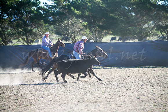 GoulburnCampdraft2017-0903
