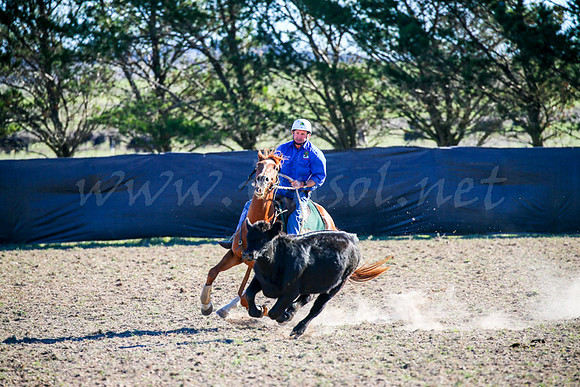 GoulburnCampdraft2017-0887