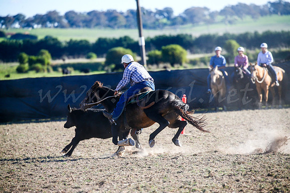 GoulburnCampdraft2017-0999