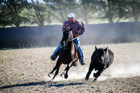 GoulburnCampdraft2017-0902