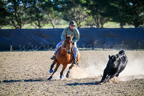 GoulburnCampdraft2017-0876