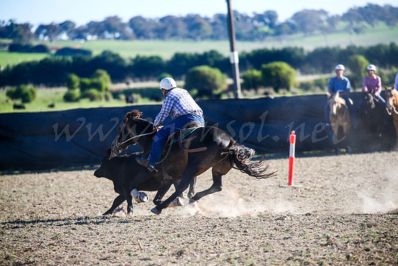 GoulburnCampdraft2017-0996