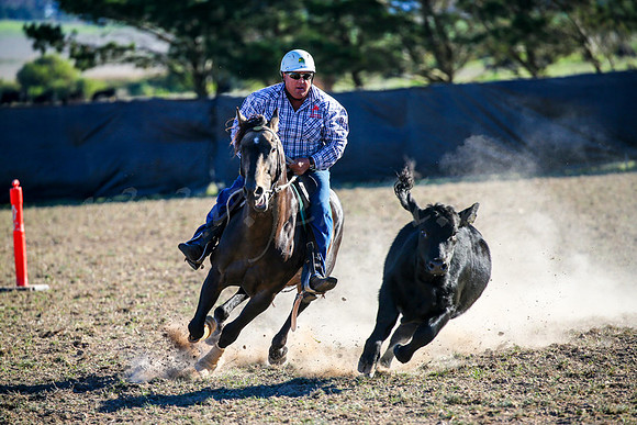 GoulburnCampdraft2017-0986