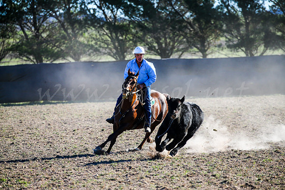 GoulburnCampdraft2017-0953