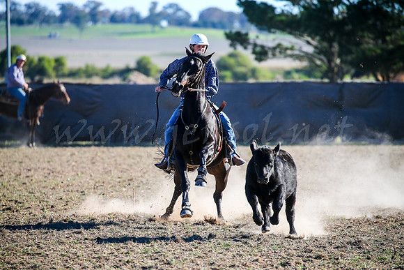GoulburnCampdraft2017-0918