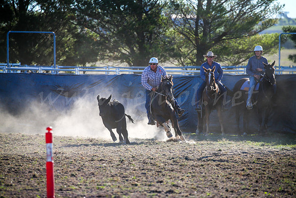 GoulburnCampdraft2017-0966