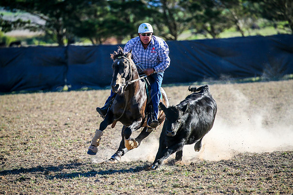 GoulburnCampdraft2017-0973