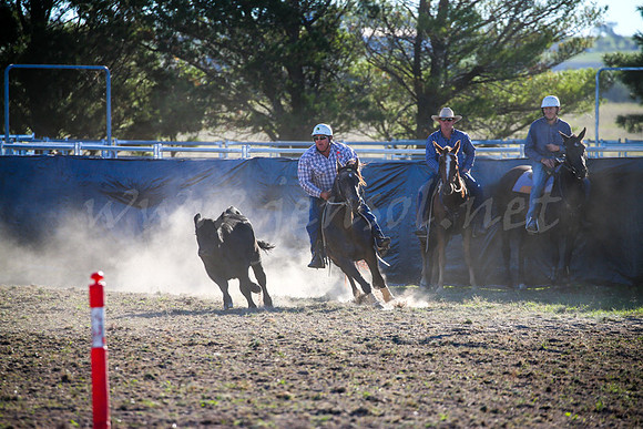 GoulburnCampdraft2017-0968