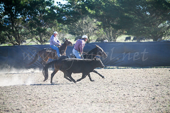 GoulburnCampdraft2017-0904