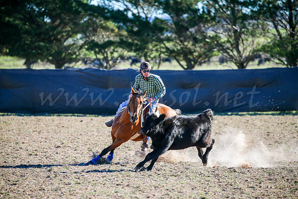 GoulburnCampdraft2017-0881