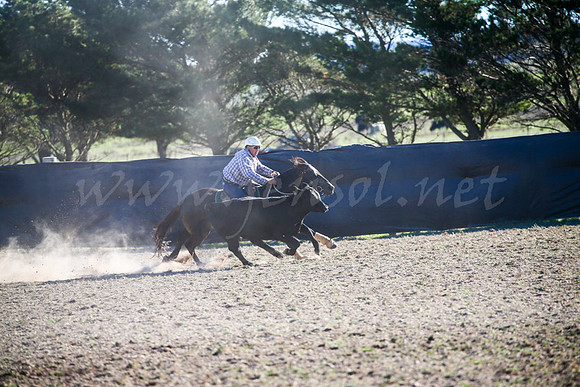 GoulburnCampdraft2017-1002