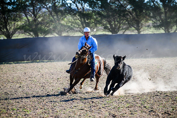 GoulburnCampdraft2017-0955