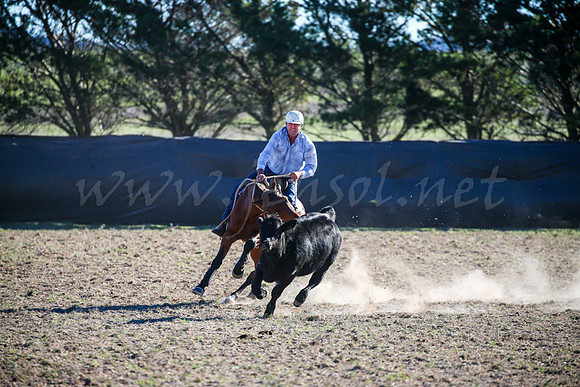 GoulburnCampdraft2017-0946