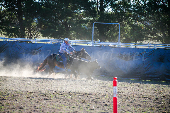 GoulburnCampdraft2017-0962
