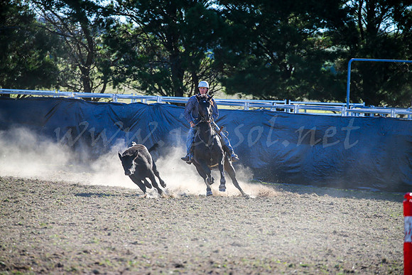 GoulburnCampdraft2017-0908