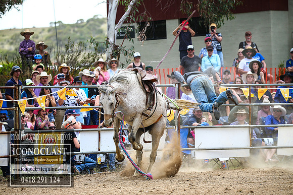 JindabyneRodeo2017_3110