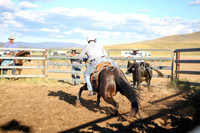 AdaminabyCampdraft2016_5597