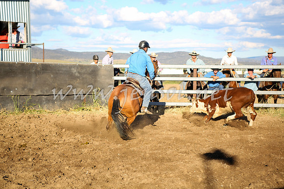 AdaminabyCampdraft2016_5747