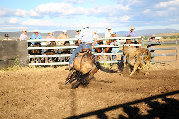 AdaminabyCampdraft2016_5839