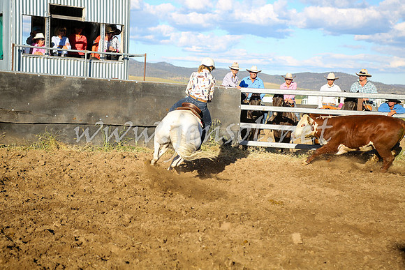 AdaminabyCampdraft2016_5666