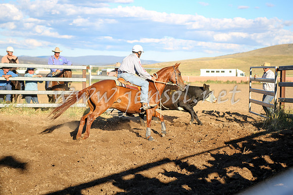 AdaminabyCampdraft2016_5738
