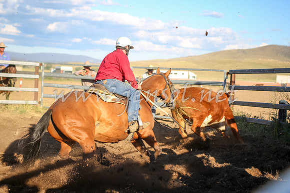AdaminabyCampdraft2016_5799