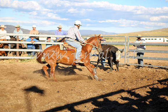 AdaminabyCampdraft2016_5727